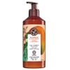 Yves Rocher Escape Body Lotion Mango & Coriander Fragrance, 390ml, 1 Piece / 이브로쉐 이스케이프 바디로션 망고 & 코리안더향, 390ml, 1개