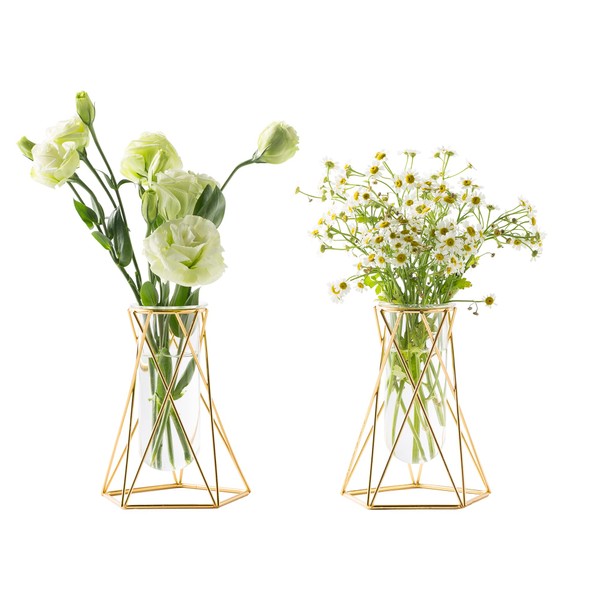 Grensuk 2 Pcs Gold Geometric Vase,Air Plant Stand,Hydroponic Plant Flower Vase Glass Test Tube,Modern Vases for Flowers as Wedding Home Office Centerpiece,vases for centerpieces(2pc,6.3inch)