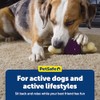 PetSafe Busy Buddy Bouncy Bone Dog Toy, Small