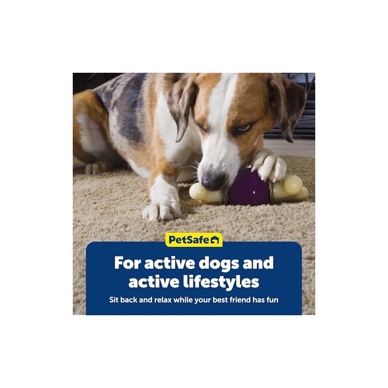PetSafe Busy Buddy Bouncy Bone Dog Toy, Small