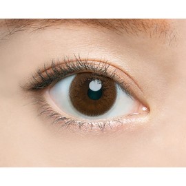 エンジェルカラーワンデー ヴィンテージシリーズ　10枚入 ヴィンテージブラウン ±0.00