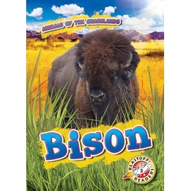 Bison