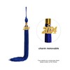 SAMDEEMI Graduation Tassel with 2024 Gold Year Charm for Graduation