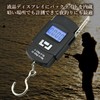 fishing scale digital scale fishing tackle hanging scale weight night