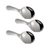 Stainless Steel Short Handle Spoons 3 PCS