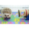 Small EVA Foam Puzzle Floor Play Mat Pets Feeding Box