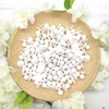 Hayaww Pack of 100 Knobs Chef's Jacket, Chef's Jacket Knobs,