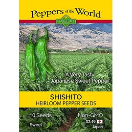 Shishito - Heirloom Japanese Sweet Pepper - 10 Seeds - Non-GMO - Organic