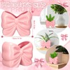 2 Pcs Coquette Bow Succulent Pots with Drainage Pink Bowtie