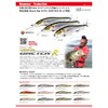 Mega Bath (Megabass) Lure oneten R + 2 (One Ten R