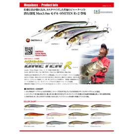 Mega Bath (Megabass) Lure oneten R + 2 (One Ten R Plus 2) 塾長 Pink 37556 