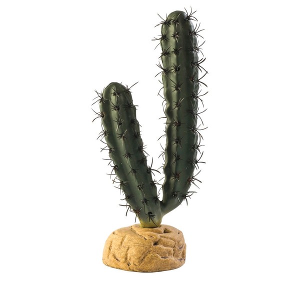 Exo Terra Finger Cactus Terrarium Plant