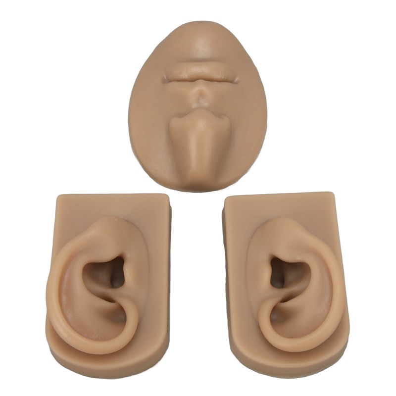 3D Nose and Mouth Model Silicone Ear Model Simulation Display