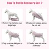 FEimaX Dog & Cat Post-Surgery Protective Onesie - Spay/Neuter Recovery