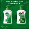 Dettol Liquid Handwash (Original) - 200 ml with Free Dettol