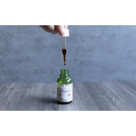 Echinacea Health Power Herb Concentrated Extract [Made in Japan] Simply Mix with Water
