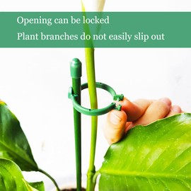 Belit 8 Pack Small Plant Support Plant Stakes, Adjustable Garden Single Stem Support Stake, Planter Support Ring for Orchid, Rose, Peony, Peppers and More, 16 inch