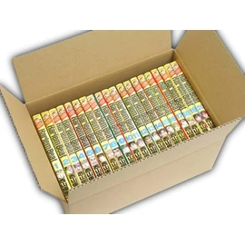 VillageBox Cardboard Manga S for 20 Books, Set of 30, Cardboard, Storage Case, Books, Manga, Comics, 80 Sizes