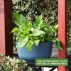 Dexceder 11.2 Inch Self Watering Hanging Planters Indoor Outdoor, Thickened