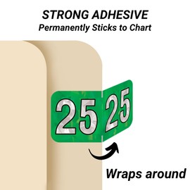 2025 Year Stickers, Doctor Stuff 2025 Chart Stickers, Holo Series, Holographic Green Color Coded, USA Made Year Labels for End Tab File Folders, 500 Labels/Roll in a Dispenser Box, 3/4" x 1-1/2"