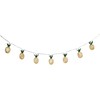 Northlight 10-Count LED Warm White Gold Pineapple String Lights -