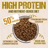 Timberwolf Wild & Natural Chicken Recipe with High Protein Dry