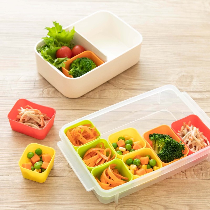 Bento for dividing storage container SMT2SL