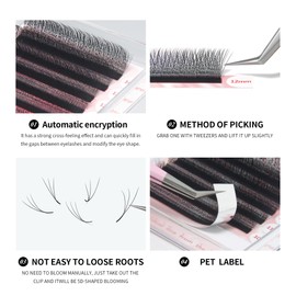 ANNAFRIS Fox 3D Premade Fan W Shape Clover Eyelash Extensions Volume Self Fanning W Lashes Extension Makeup Supplies Professional Use (0.07 C,9-14mm Mix)