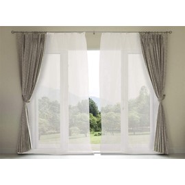 Mosquito Net Curtain with Rings for Window Door with Fringe Net, Thick, Easy Assembly, Indoor Outdoor Fly Screen for Window, Living Room, Bedroom, 150 x 250 cm (White)