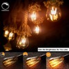 LUXON LED Edison Bulbs,Dimmable,4Watt(Equivalent 40W),2700K Warm White,ST64 Amber Glass Antique