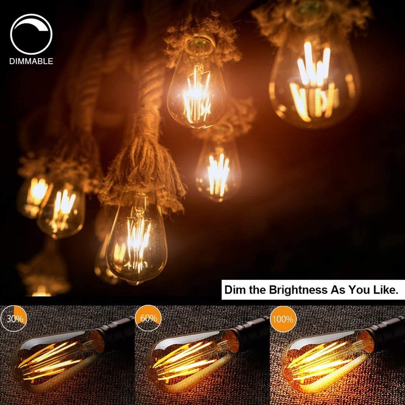LUXON LED Edison Bulbs,Dimmable,4Watt(Equivalent 40W),2700K Warm White,ST64 Amber Glass Antique