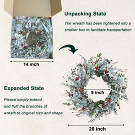 Hometrance Winter Christmas Wreaths for Front Door 20 Inches, Faux Xmas White Red Wreath for Window Outdoor Outside, Artificial Farmhouse Holiday Modern Wreath for Indoor Porch Decor