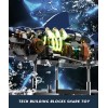 JXD Ideas Mechanical Shark Building Set with Display Stand and