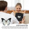 Polyura Nepenthes Butterfly Framed Decoration - Handmade Taxidermy Butterfly Shadow