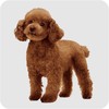 Pack Of Cockapoo Dog Pet Family Aluminium Coasters With Cork