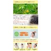 Honjien Tea Bag Made in India 0.2 oz (5 g)