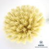 Redecker Kitchen Brush with Handle