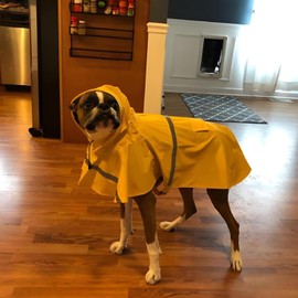 Large Dog Raincoat Adjustable Pet Water Proof Clothes Lightweight Rain Jacket Poncho Hoodies with Strip Reflective,Yellow(M)