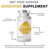 BrocElite BrocElite BerbElite | 350mg Berberine HCL & Broccoli Seed