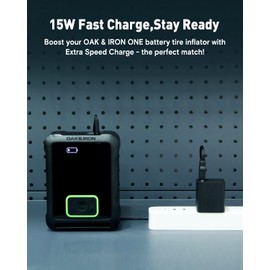 OAK & IRON 15W USB-C Wall Charger for ONE/WAVE PRO