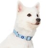 Blueberry Pet Essentials Pastel Color Reflective Matching Dog Collar and