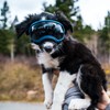 Rex Specs V2 Dog Goggles (Small, Black)