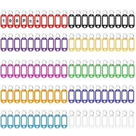 HIQU and HIST Key Fob Plastic Key Tags with Loops, 100 pieces, 10 colours