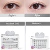 OLLIO No Glue Lash Mixx Pack & Mutl Pack Set