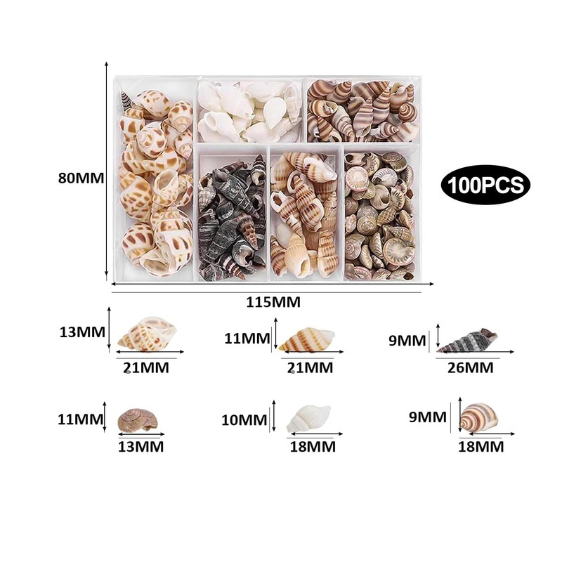 100 Pcs Seashell Mix for Crafts & Decor - Natural
