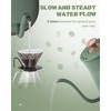 Keebar Gooseneck Electric Kettle, Electric Tea Kettle Stainless Steel, Pour
