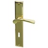 ALPERTEC Nelson LS Polished Brass Door Handle Set Door Fittings