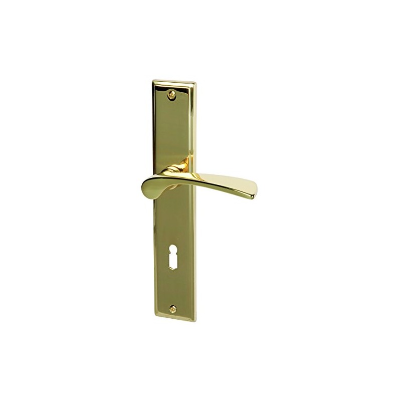 ALPERTEC Nelson LS Polished Brass Door Handle Set Door Fittings