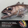 VARIVAS 9-strand braided PE Line Avani Jigging 10×10 Max Power