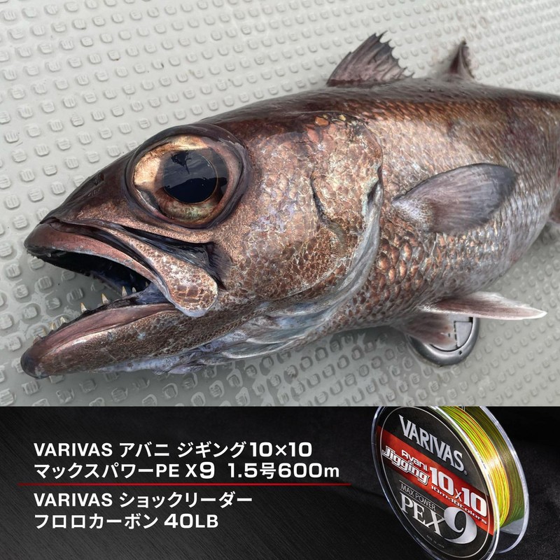 VARIVAS 9-strand braided PE Line Avani Jigging 10×10 Max Power